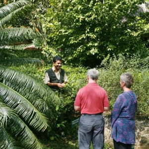 Spice Village in Thekkady:  Information about plants