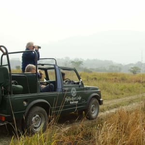 Wildes Assam ab Dibrugarh: activities: Jeep safari at Kaziranga NP