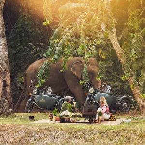 Anantara Golden Triangle Elephant Camp & Resort à Triangle d'Or:  Picknick with Elephants