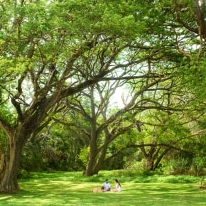 Uga Ulagalla à Anuradhapura:  Picnic