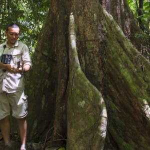 Gaya Island Resort in Kota Kinabalu:  Resident Naturalist