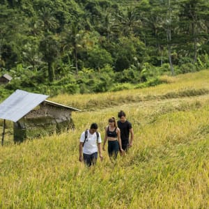 Wapa di Ume Sidemen à Ouest de Bali:  Rice Field Trekking With Guide