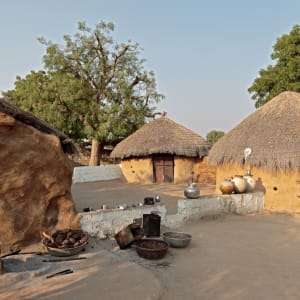 Romantisme des palais et magie du désert de Jodhpur: activities: Safari