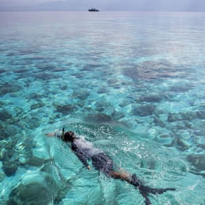 Traumhafte Kreuzfahrt ins Herz der Molukken ab Ambon: activities: Snorkelling