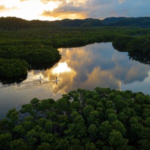 Nay Palad Hideaway à Siargao:  SUP in the mangroves