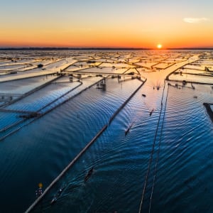 Découverte active du centre du Vietnam de Hué: Aerial view of fisherman on Chuon lagoon