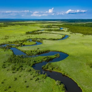 Mietwagen Rundreise «Hokkaido Kompakt» ab Sapporo: Aerial view of Kushiro Marsh