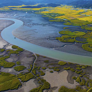 Südkoreas unbekannter Westen ab Seoul: Aerial view of Suncheon Bay Wetland Reserve