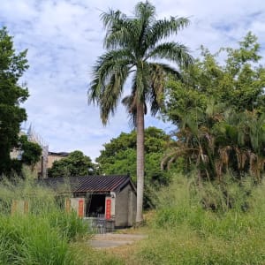 Authentische «New Territories» in Hong Kong: Ancestral hall in rural Hong Kong
