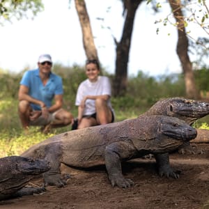 Kreuzfahrt ins Reich der Drachen (Flores - Bali) ab Labuan Bajo: Aqua Blu | Komodo Dragon