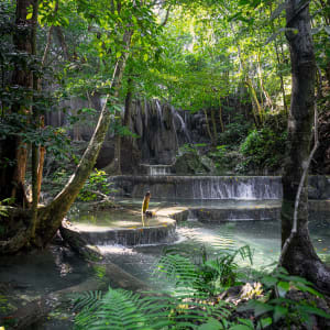 Kreuzfahrt ins Reich der Drachen (Flores - Bali) ab Labuan Bajo: Aqua Blu | Moyo Island | Mata Jitu Waterfall