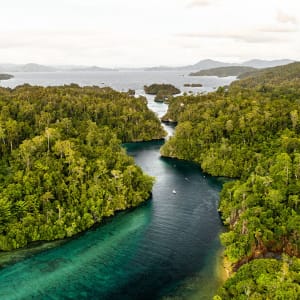 Raja Ampat mit Stil – Kreuzfahrt durch das unberührte Inselparadies ab Sorong: Aqua Blu | Raja Ampat