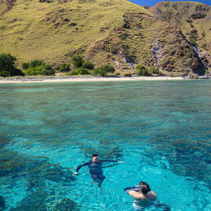 Kreuzfahrt ins Reich der Drachen (Flores - Bali) ab Labuan Bajo: Aqua Blu | Snorkeling