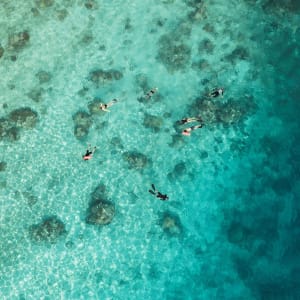 Raja Ampat mit Stil – Kreuzfahrt durch das unberührte Inselparadies ab Sorong: Aqua Blu | Snorkeling
