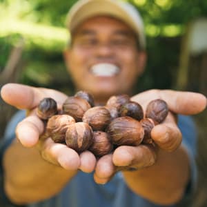 Traumhafte Kreuzfahrt ins Herz der Molukken ab Ambon: Aqua Blu | Spice Islands | Nutmeg