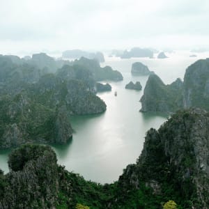 Croisière dans la baie de Bai Tu Long avec « Violet » de Hanoi: Bai Tu Long Bay Scenerie