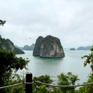 Croisière dans la baie de Bai Tu Long avec « Violet » de Hanoi: Bai Tu Long Bay top view