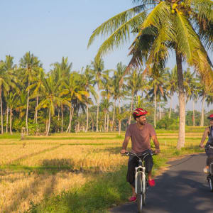 Natur & Traditionen in Balis Osten ab Südbali: Bali - Couple riding a bicycle through the tropical island of Bali