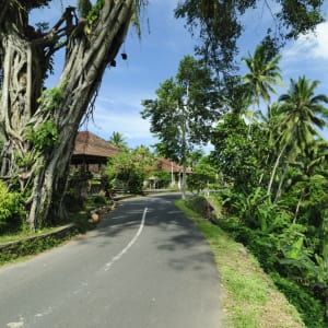Bali auf eigene Faust, halber Tag in Südbali: Bali Road