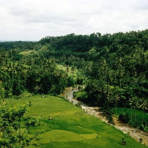 Ubud de son propre chef en «VW Kübelwagen»: Bali Ubud