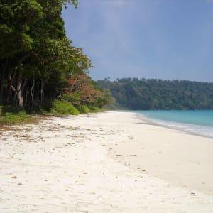 Barefoot at Havelock in Andamanen: Barefoot at Havelock, Andaman Islands, India Beach