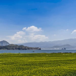 Mietwagen Rundreise «Jeju Island»: Barley fields with view to Hallasan NP
