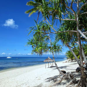 Coco Grove Beach Resort in Siquijor: 