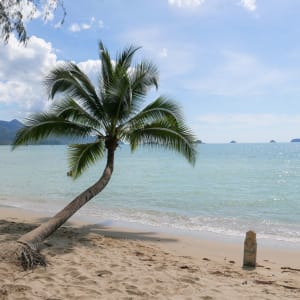 Koh Chang Paradise Resort & Spa in Ko Chang:  Beach