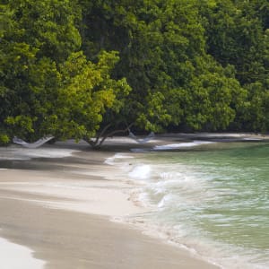 Gaya Island Resort in Kota Kinabalu:  Beach