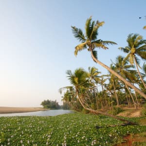 Neeleshwar Hermitage:  Beach