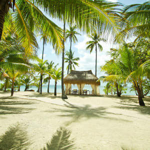 Coco Grove Beach Resort à Siquijor:  Beach Side Nipa Hut