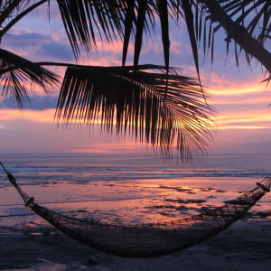 Puri Dajuma Beach Eco-Resort & Spa à Nord de Bali:  beach: beach: beach: Beach - Sunset Hammock