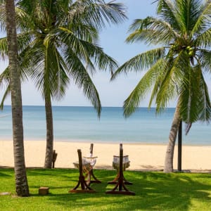 Chen Sea Resort & Spa in Phu Quoc:  Hammock and coconut tree