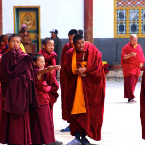 Yunnan - les montagnes racontent des histoires de Lijiang: Benzilan | Monks