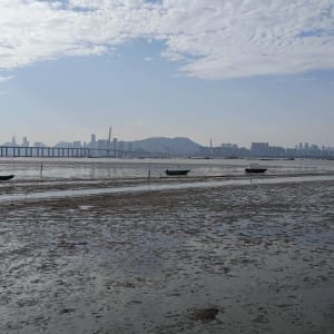 Authentische «New Territories» in Hong Kong: Bridge connecting Hong Kong and Shenzhen