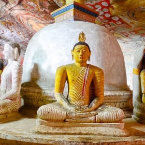 Sri Lanka im Sommer ab Colombo: Buddha Statues at Dambulla Cave Golden Temple
