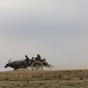 Vie authentique le long de la rivière Dohtawaddy à Mandalay: Bullock Cart
