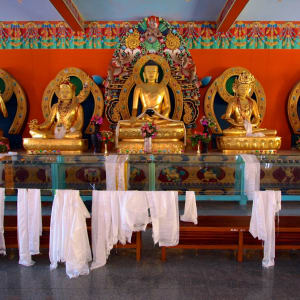 Le sud diversifié de l’Inde de Kochi: Bylekuppe: Tibetan Monastery