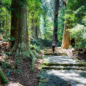 Kumano Kodo: Japans heiliger Pilgerpfad ab Kyoto: Cobblestone path through the Kumano Kodo trail