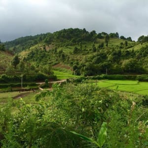 Wandern im malerischen Shan Staat (4 Tage) ab Inle Lake: Community Trail