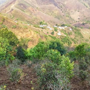 Randonnées dans le pittoresque Etat Shan (4 jours) de Lac Inle: Community Trail