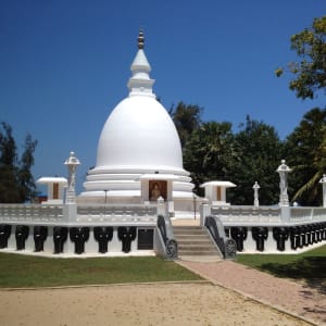 Le nord authentique du Sri Lanka de Colombo: Dambakola Patuna