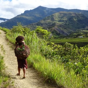 Papouasie – un voyage dans un autre temps de Jayapura: Dani Woman on the way