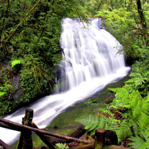 Doi Inthanon in Chiang Mai: Doi Inthanon River