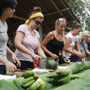 Elephant Hills - 2 Tage ab Phuket: Elephant Experience