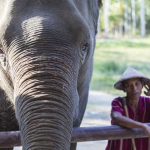 Elephant Hills - 2 jours de Phuket: Elephant Hills