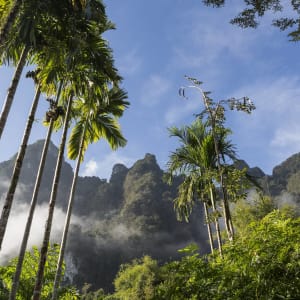 Elephant Hills - 2 Tage ab Phuket: Elephant Hills