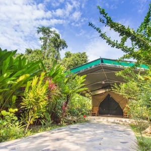 Elephant Hills - 2 Tage ab Phuket: Elephant Hills Garden