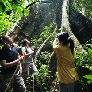 Elephant Hills - 2 Tage ab Phuket: Elephant Hills Jungle Trek