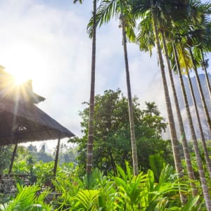 Elephant Hills - 2 Tage ab Phuket: Elephant Hills Maincamp